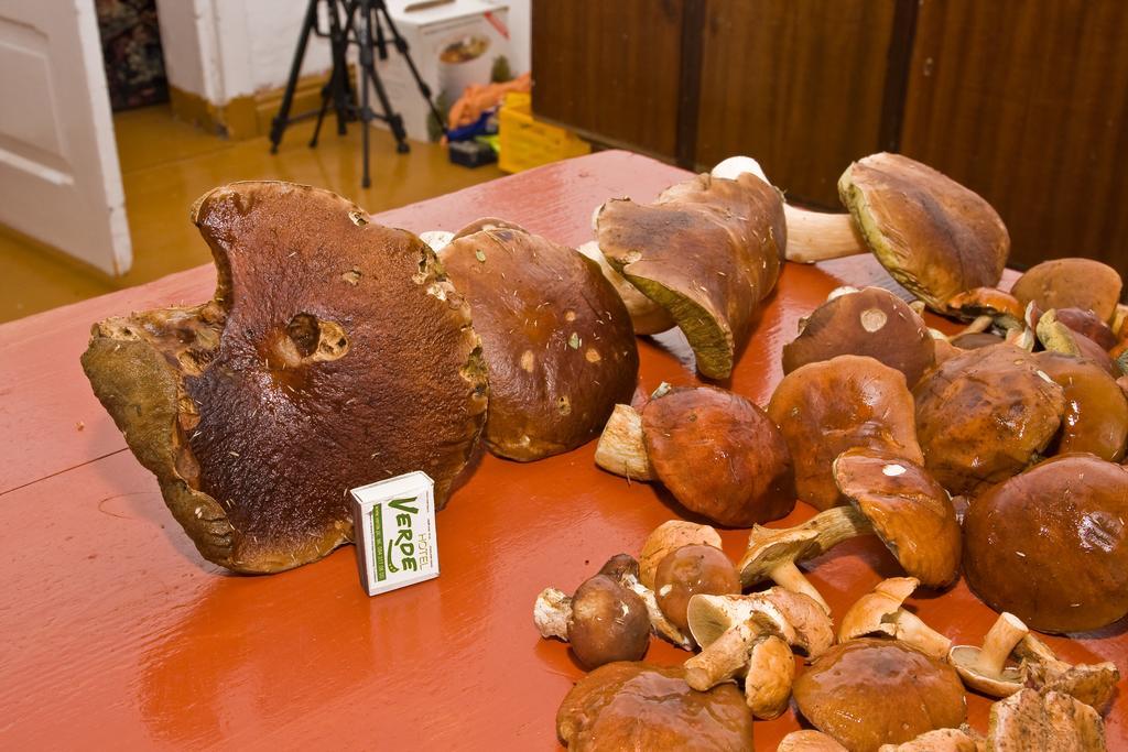 Agroturystyka Sominy Piotr 외부 사진