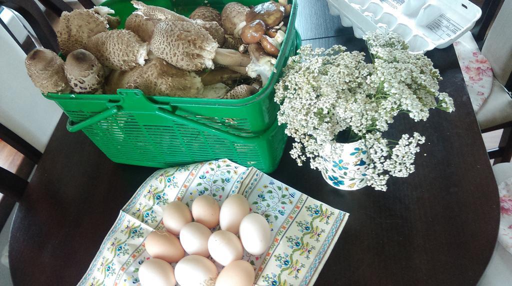 Agroturystyka Sominy Piotr 외부 사진