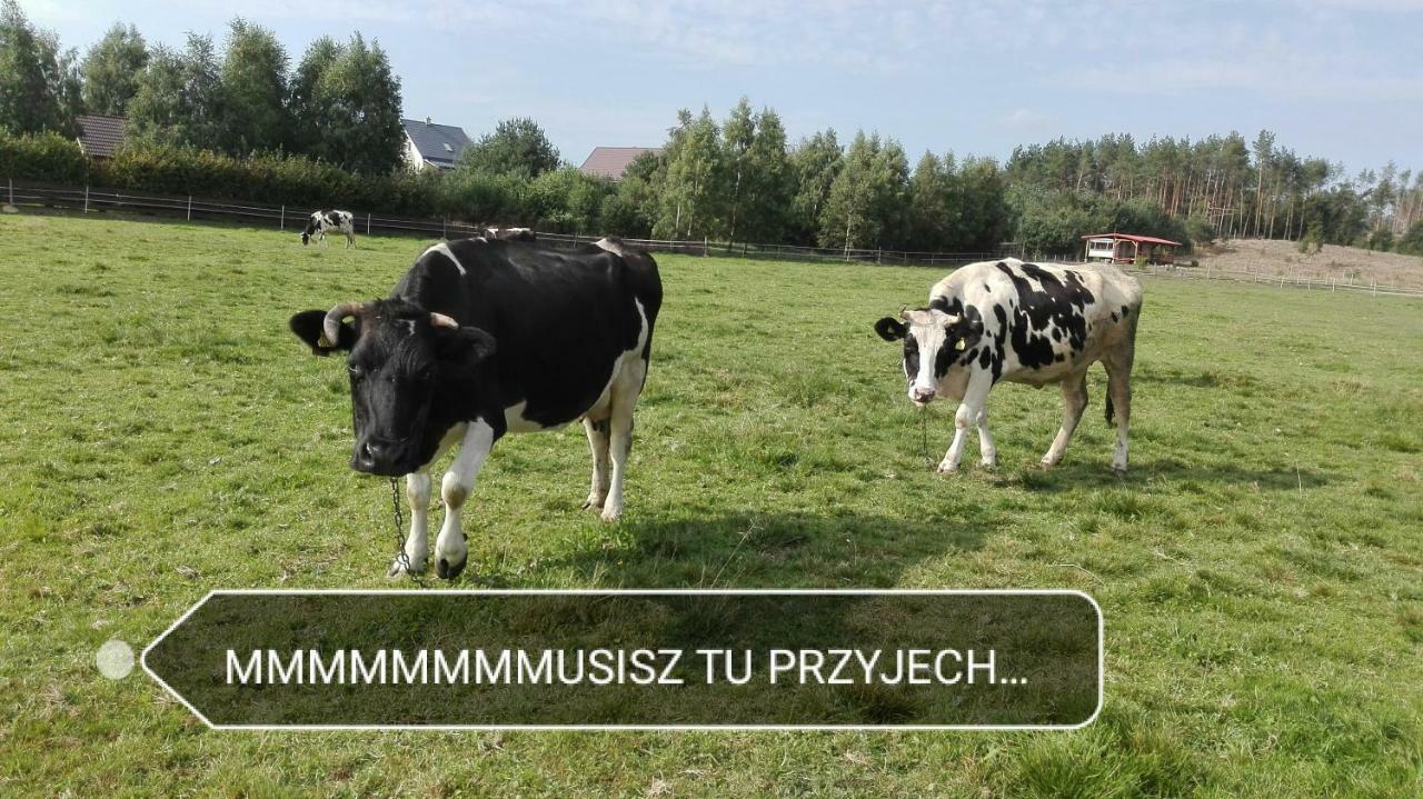Agroturystyka Sominy Piotr 외부 사진